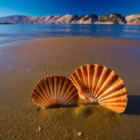Beachfront With Seaview דירה