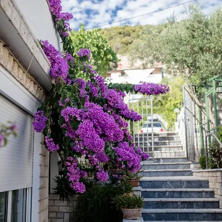 Beachfront With Seaview סופטרסקה דראגה